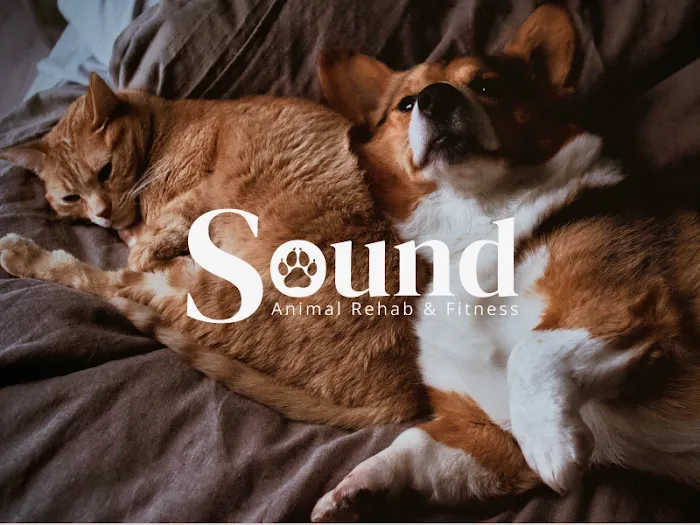 Sound Animal Rehabilitation and Fitness Picture 10