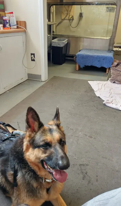 Cardiac Evaluations Picture 1