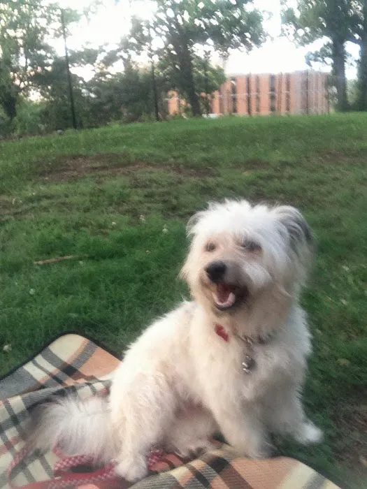 Cardiac Evaluations Picture 2