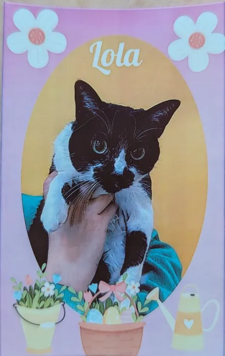 Animal Cardiology of Alabama Picture 2