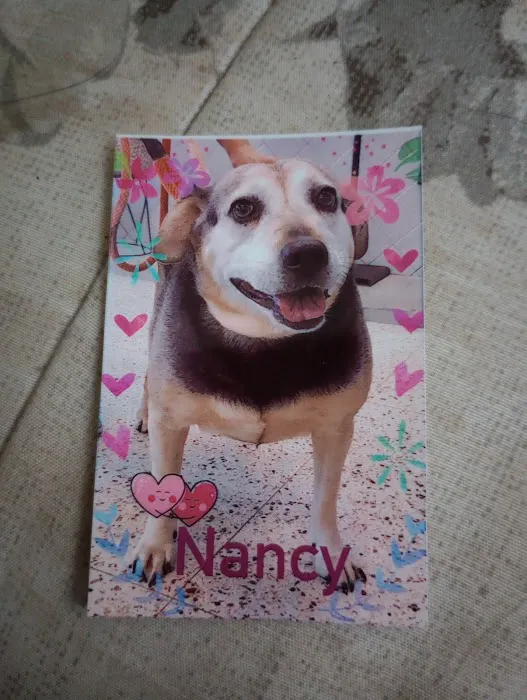 Animal Cardiology of Alabama Picture 1