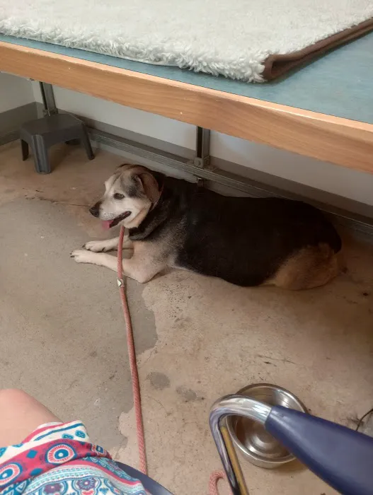 Animal Cardiology of Alabama Picture 6