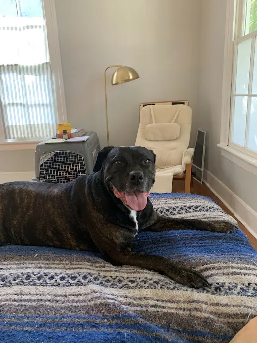 Animal Cardiology of Alabama Picture 5