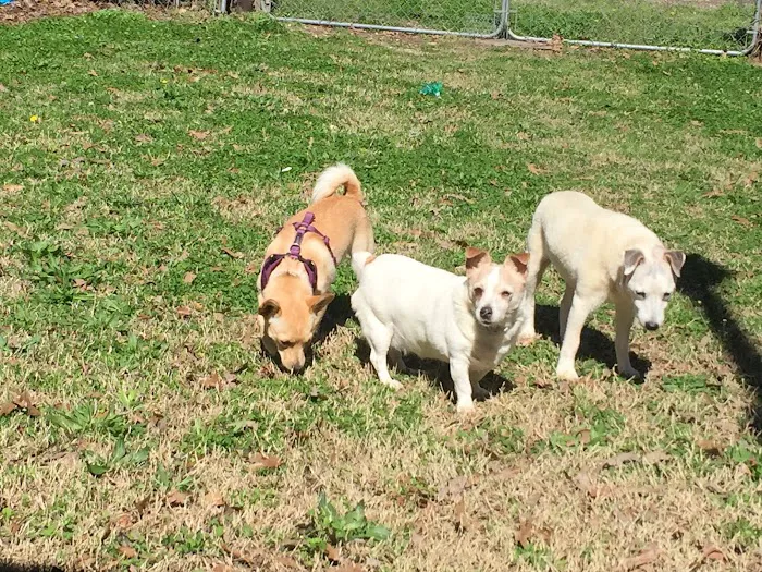 Midfield Animal Clinic Picture 2