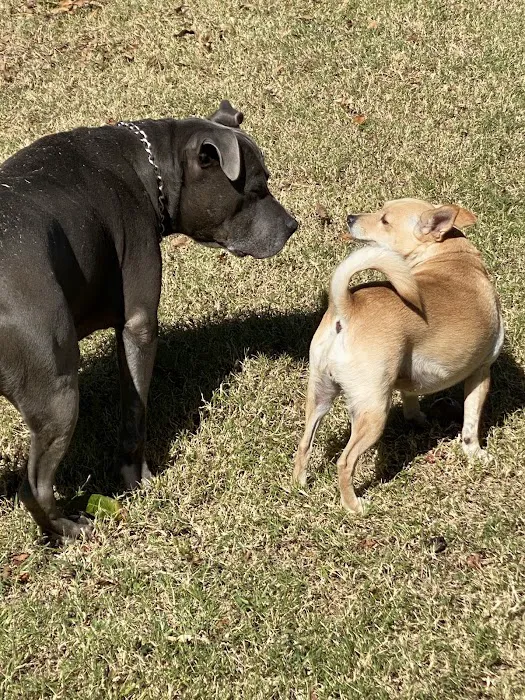 Midfield Animal Clinic Picture 4