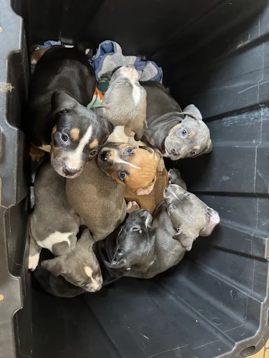 Midfield Animal Clinic Picture 7