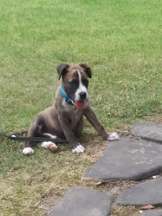 Midfield Animal Clinic Picture 9