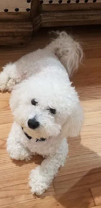 Midfield Animal Clinic Picture 8