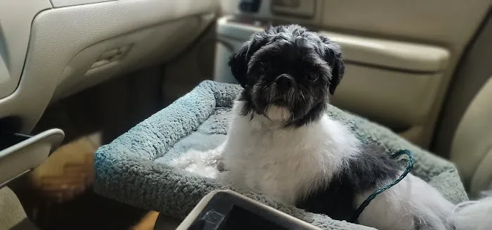 Red Mountain Animal Clinic Picture 2