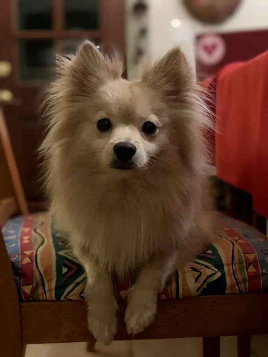 Red Mountain Animal Clinic Picture 1