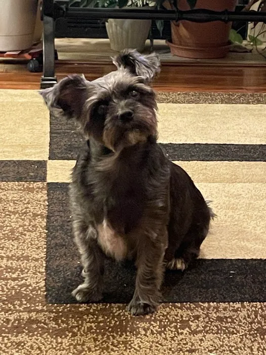 Red Mountain Animal Clinic Picture 5