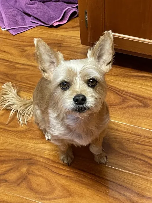 Red Mountain Animal Clinic Picture 6