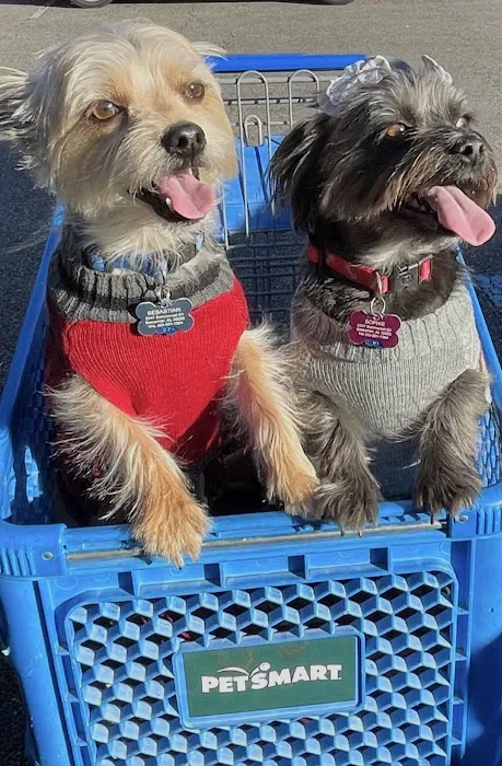 Red Mountain Animal Clinic Picture 7