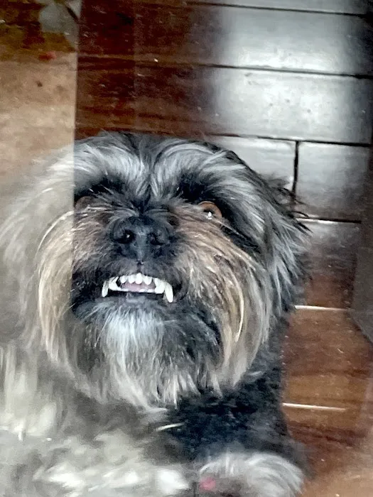 Red Mountain Animal Clinic Picture 4