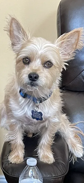 Red Mountain Animal Clinic Picture 10