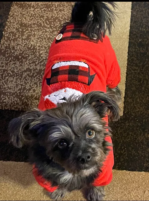 Red Mountain Animal Clinic Picture 9