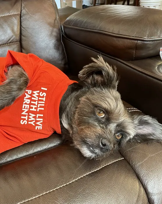 Red Mountain Animal Clinic Picture 8