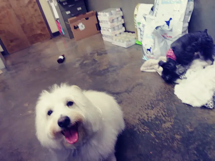 Vulcan Park Animal Care Picture 8