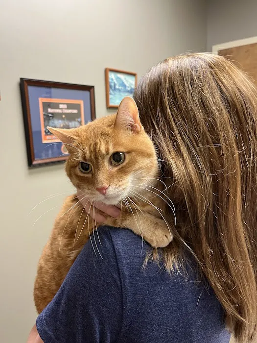 Vulcan Park Animal Care: Raymond George DVM Picture 1