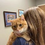 Vulcan Park Animal Care: Raymond George DVM