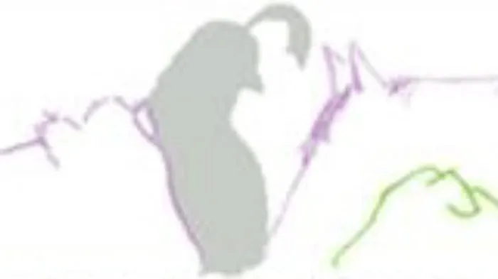 Quail Run Veterinary Services Picture 1