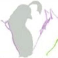 Quail Run Veterinary Services ico