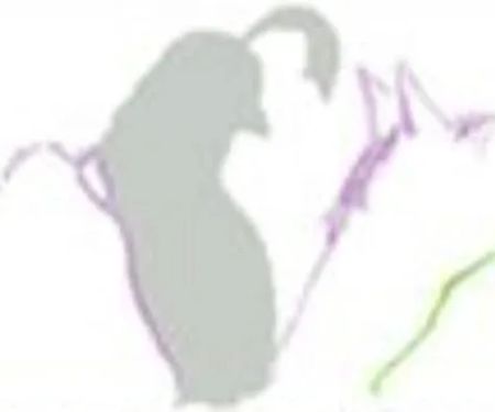 Quail Run Veterinary Services