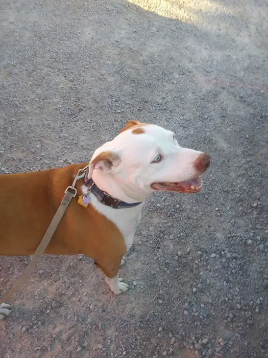 Roland Veterinary Clinic Picture 1