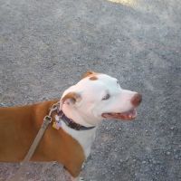 Roland Veterinary Clinic ico