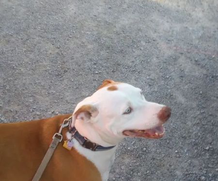 Roland Veterinary Clinic