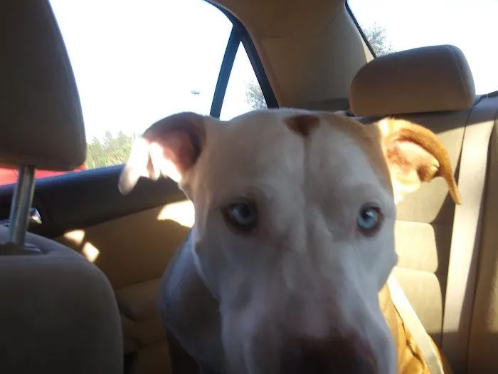 Roland Veterinary Clinic Picture 3