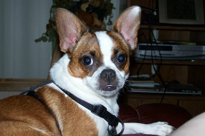 Roland Veterinary Clinic Picture 7