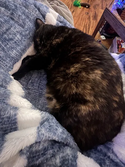 Roland Veterinary Clinic Picture 5