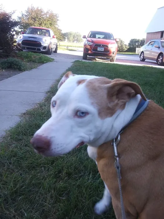 Roland Veterinary Clinic Picture 4