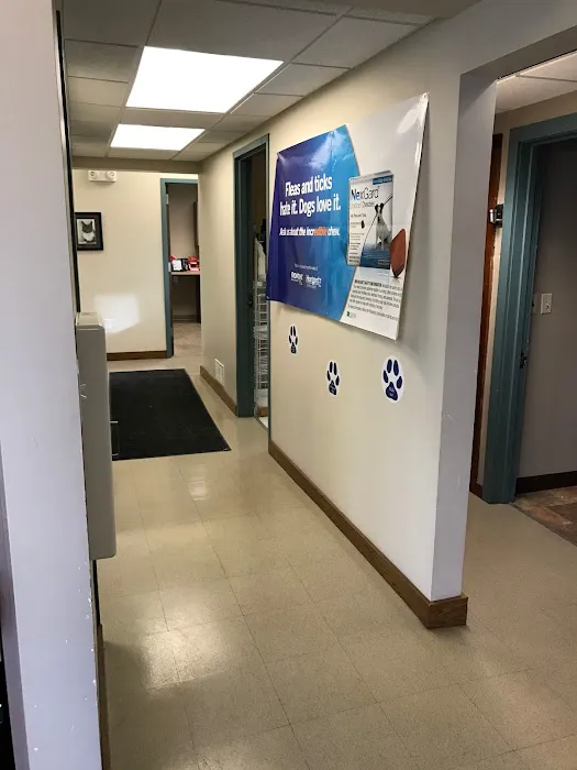 Heartland Pet Hospital & Mobile Practice P.C Picture 8