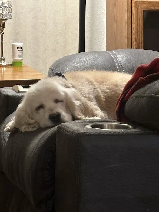 Companion Animal Clinic Picture 2