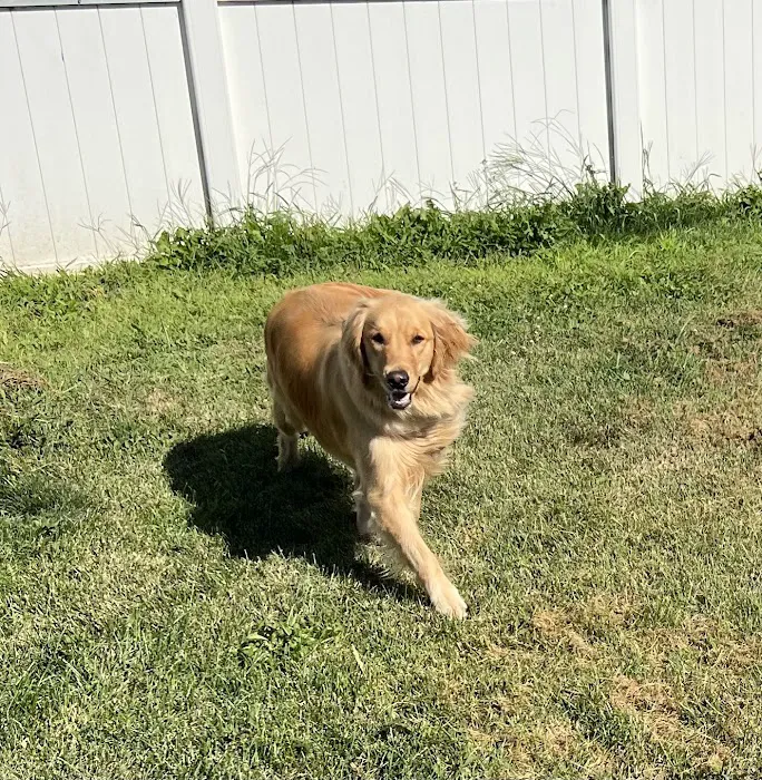 Companion Animal Clinic Picture 10