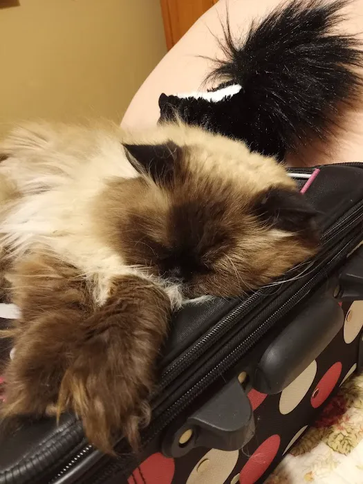 Alburnett Veterinary Service Picture 2