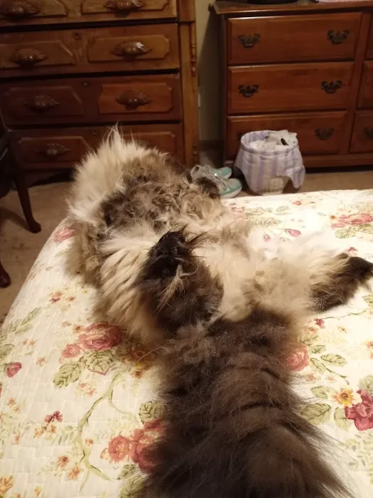 Alburnett Veterinary Service Picture 1