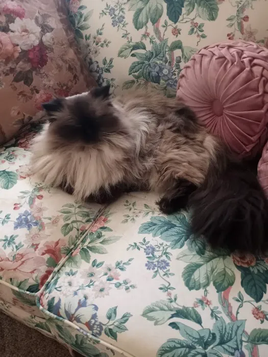 Alburnett Veterinary Service Picture 3