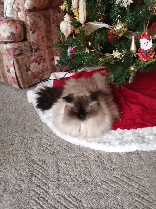 Alburnett Veterinary Service Picture 5