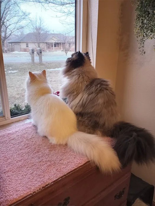 Alburnett Veterinary Service Picture 4