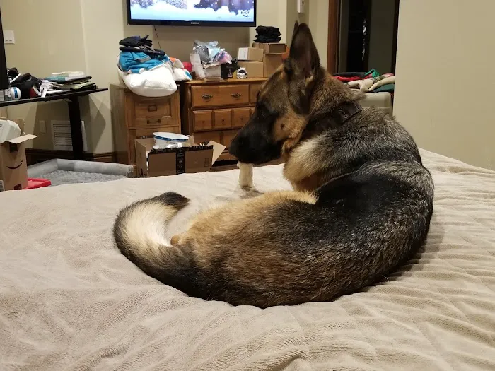 Alburnett Veterinary Service Picture 7