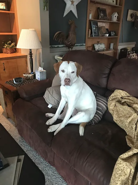 Alburnett Veterinary Service Picture 8