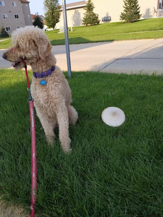 Veterinary Integrative Performance Services (VIPs Vet) Picture 4