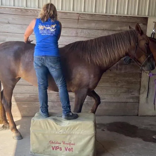 Veterinary Integrative Performance Services (VIPs Vet) Picture 7