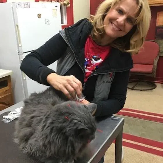 Veterinary Integrative Performance Services (VIPs Vet) Picture 6