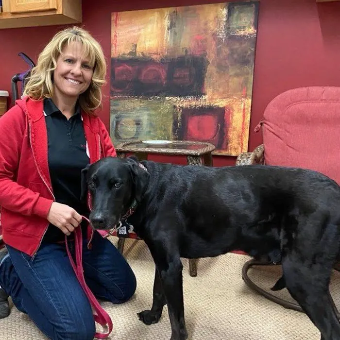 Veterinary Integrative Performance Services (VIPs Vet) Picture 10