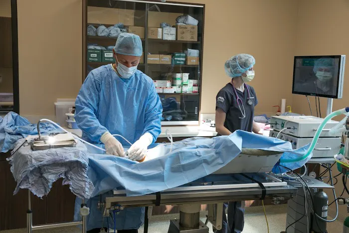 Petersen Pet Hospital Picture 2