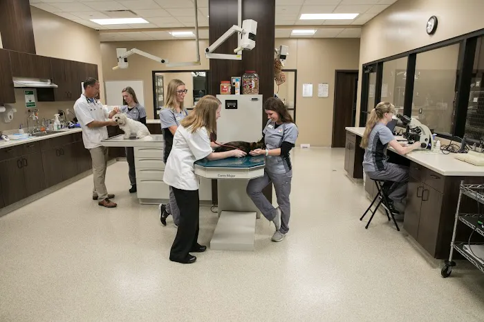 Petersen Pet Hospital Picture 6